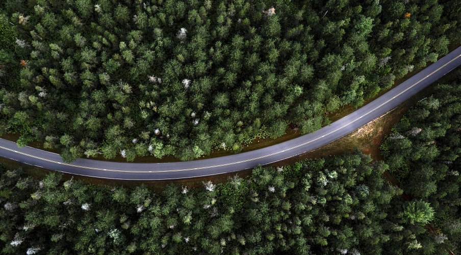 SEAT new car services maintenance end of life vehicles – Arial view of a road going through trees