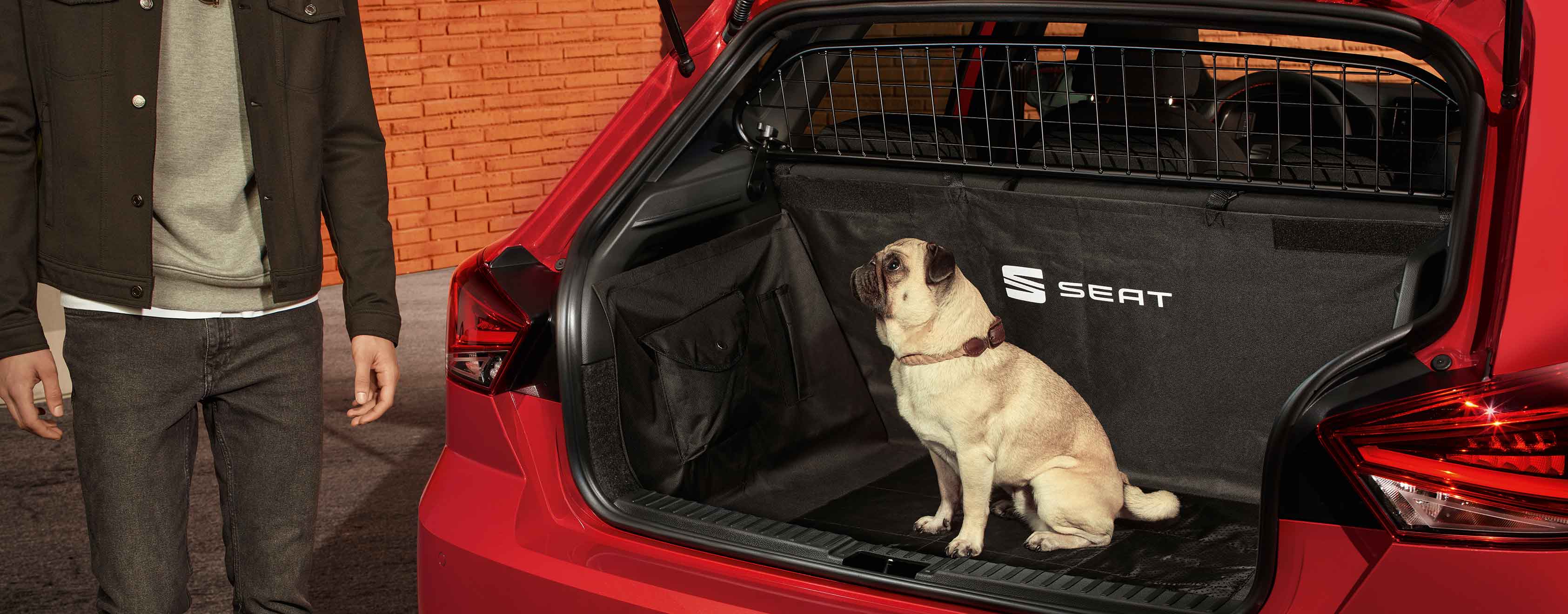 Un chien assis dans le coffre d’une SEAT Ibiza avec grille de séparation