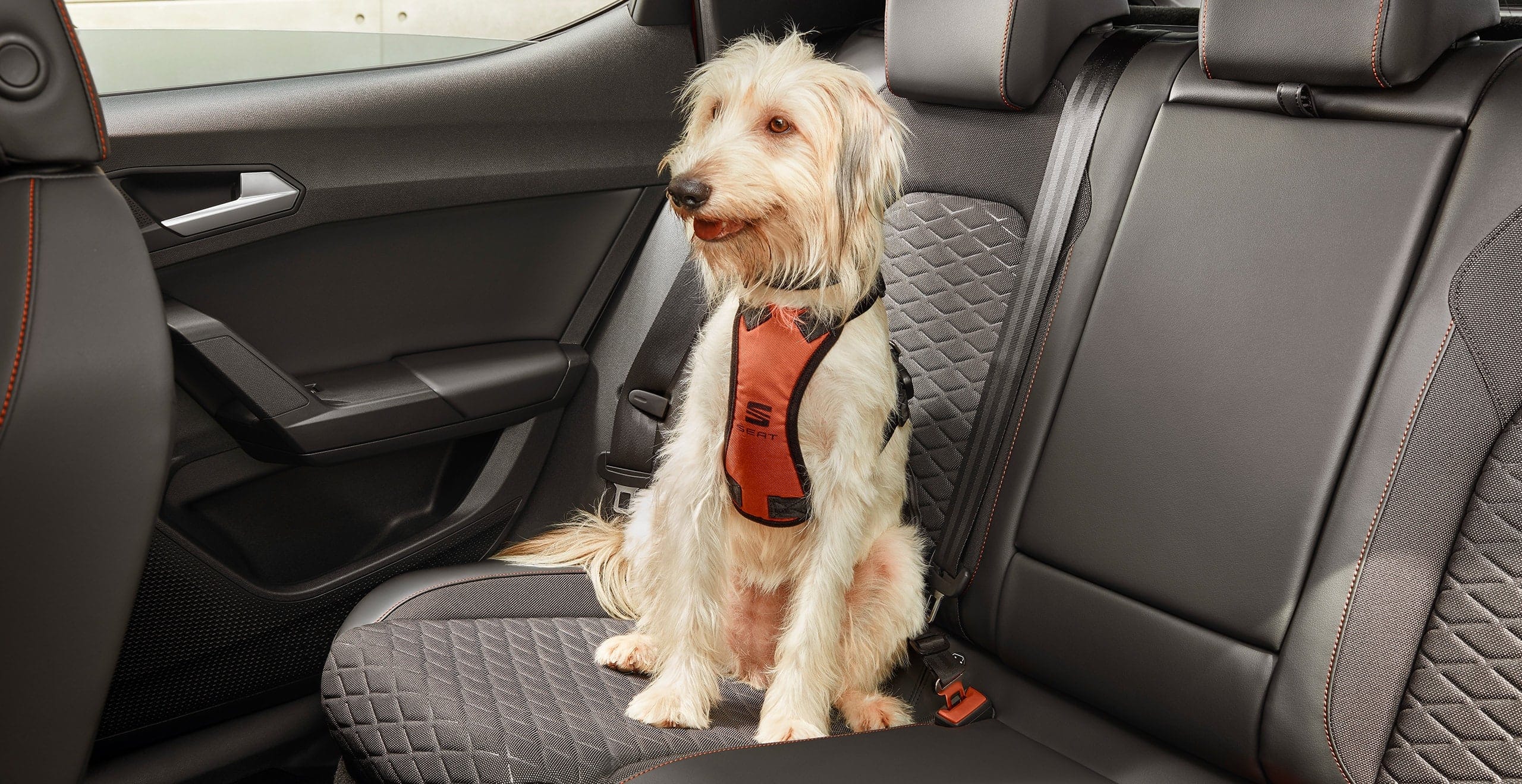 Accessoires auto nouvelle Leon Break – harnais de sécurité pour chien